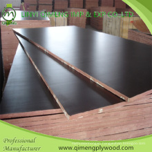 Waterproof Glue Poplar Core 15mm Shuttering Plywood for Construction